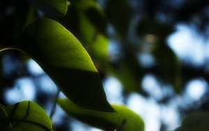 量子计算深度科普：量子计算中的量子不变量